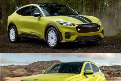 Cheap Electric Vehicles In USA