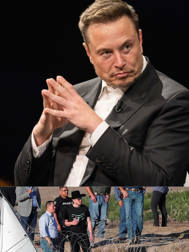 Elon Musk questions border bill